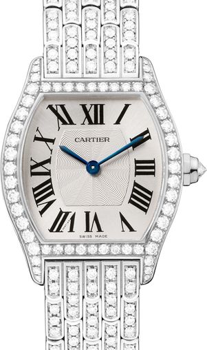 HPI00778 Cartier Tortue